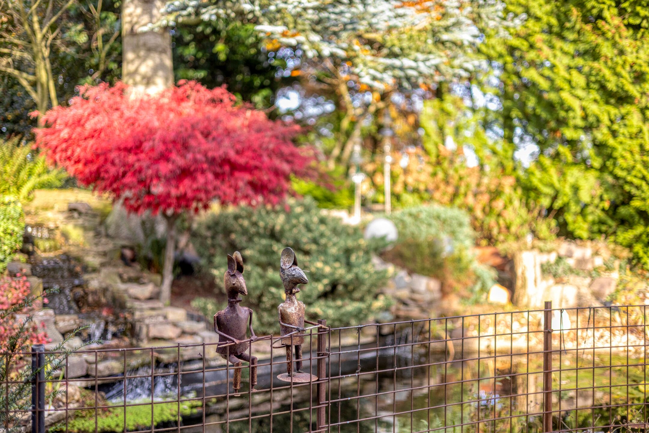 Foto 45 van Vlinkert 17