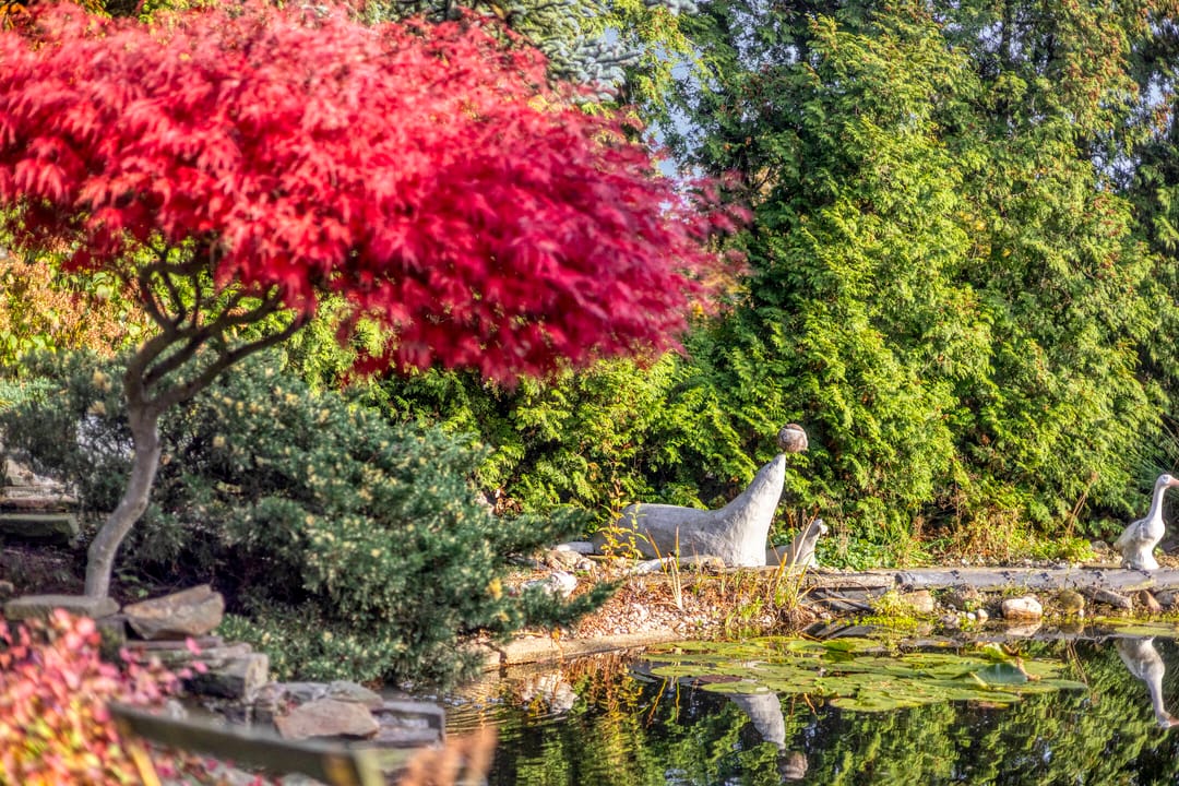 Foto 46 van Vlinkert 17