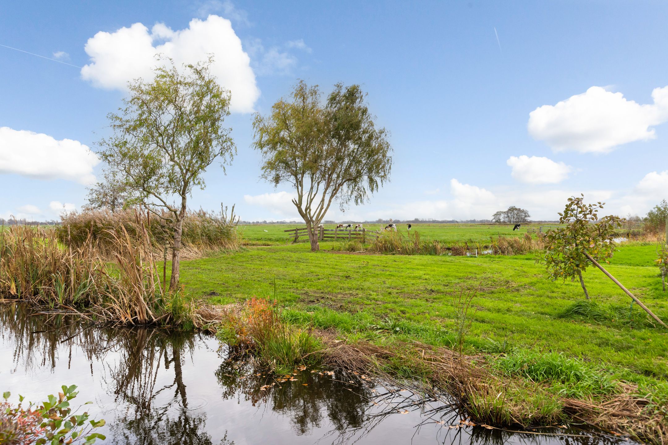 Foto 54 van In de Maalderij 4