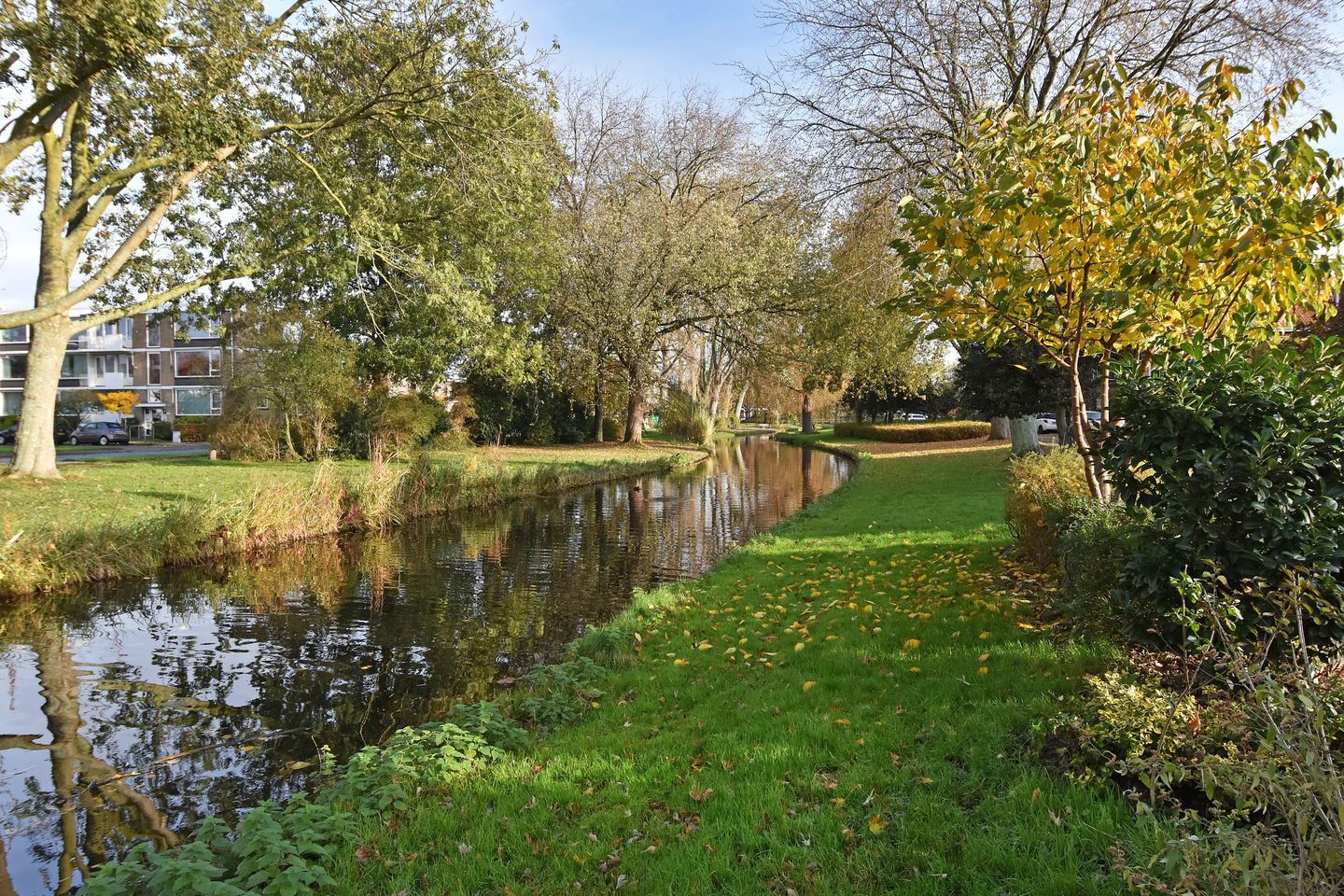 Photo 65 of Westerlookade 22