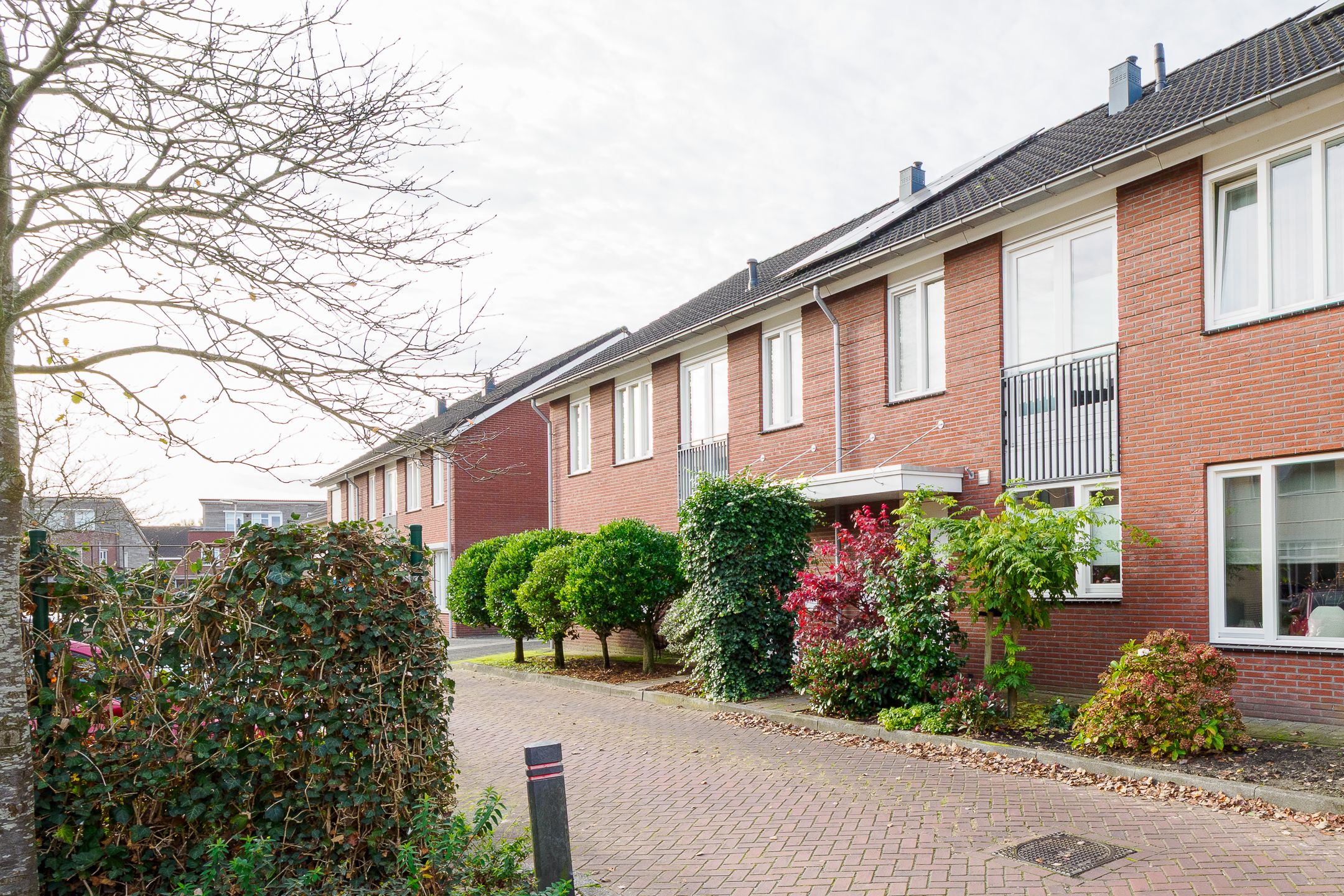 Foto 42 van Esrand 44