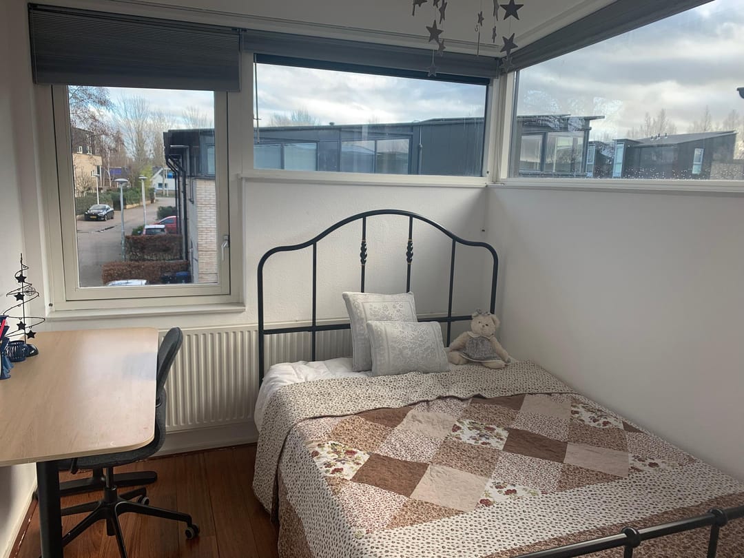 Photo 13 of Fred Raymondhof 11