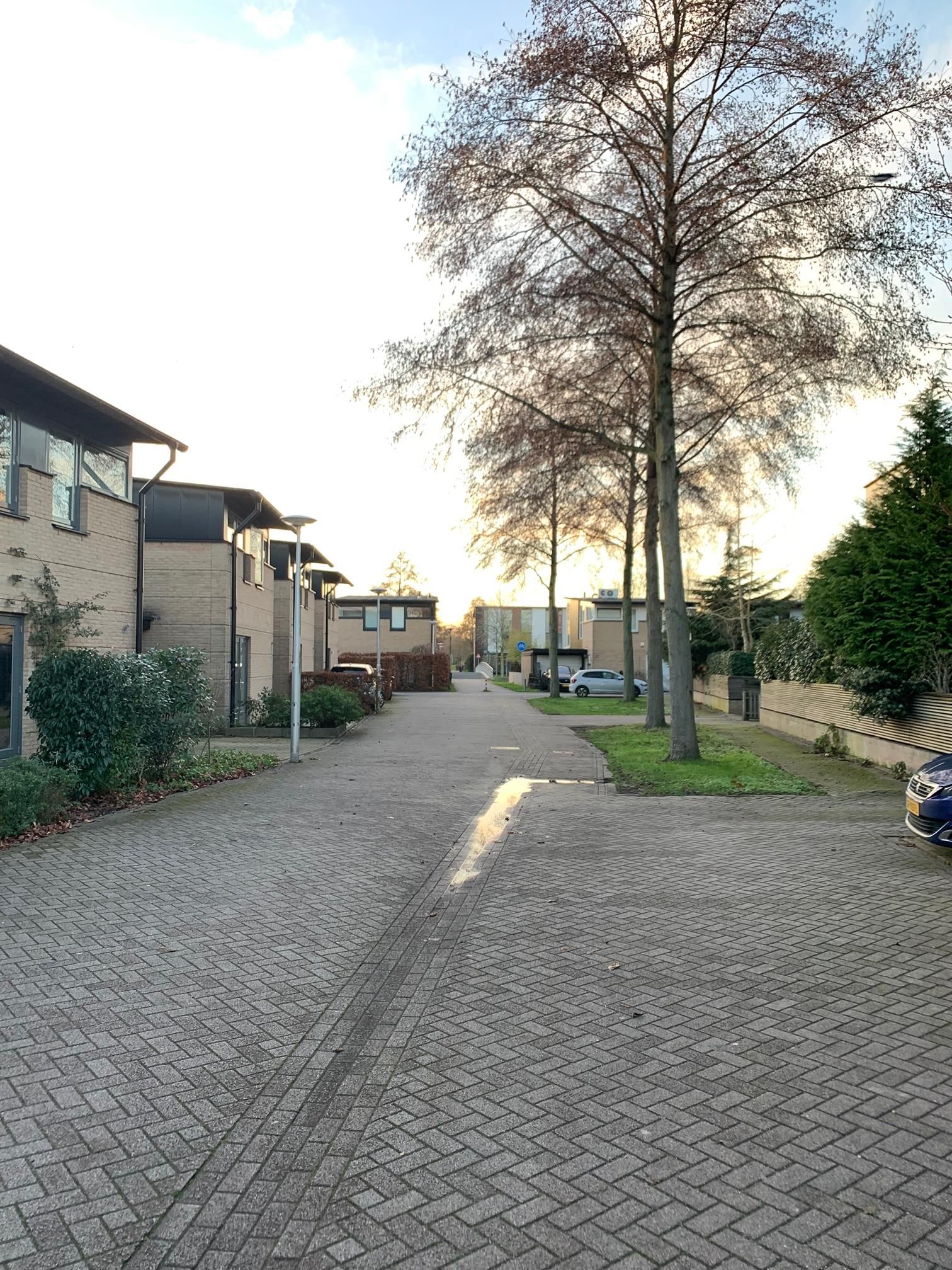 Photo 18 of Fred Raymondhof 11