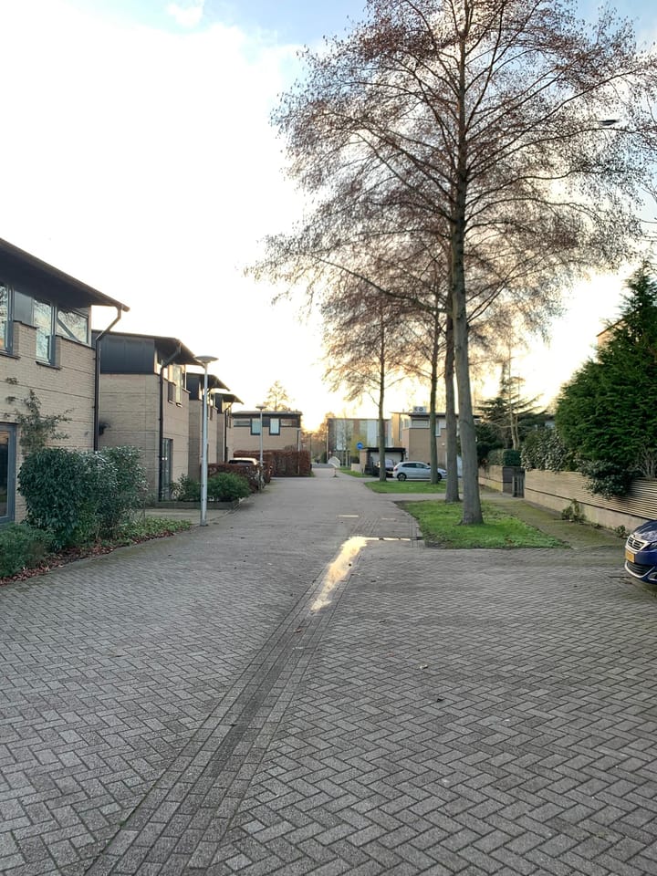 Photo 18 of Fred Raymondhof 11