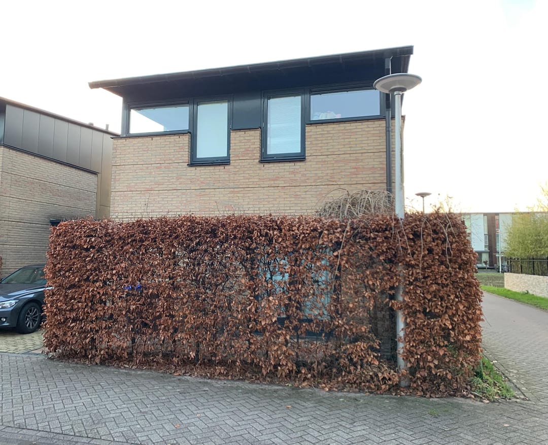 Photo 17 of Fred Raymondhof 11