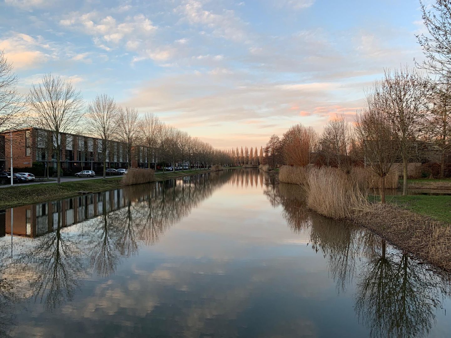 Photo 19 of Fred Raymondhof 11