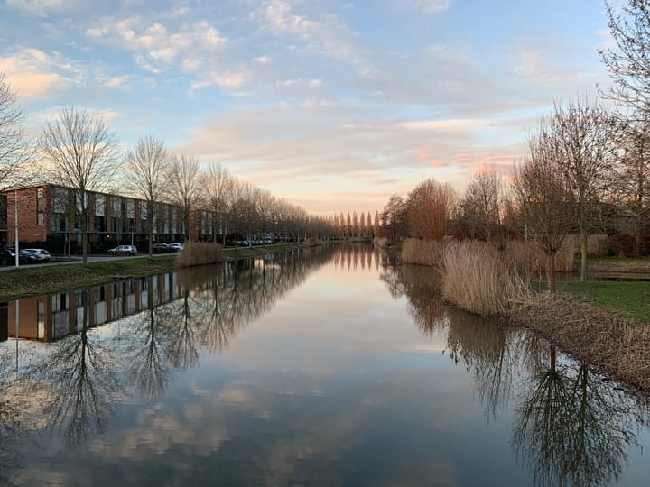 Photo 19 of Fred Raymondhof 11