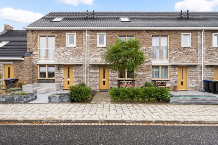 Pieter de Hoochstraat 11