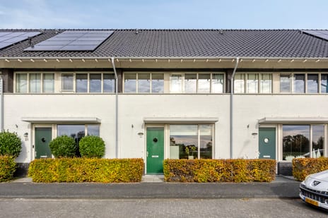 undefined main image