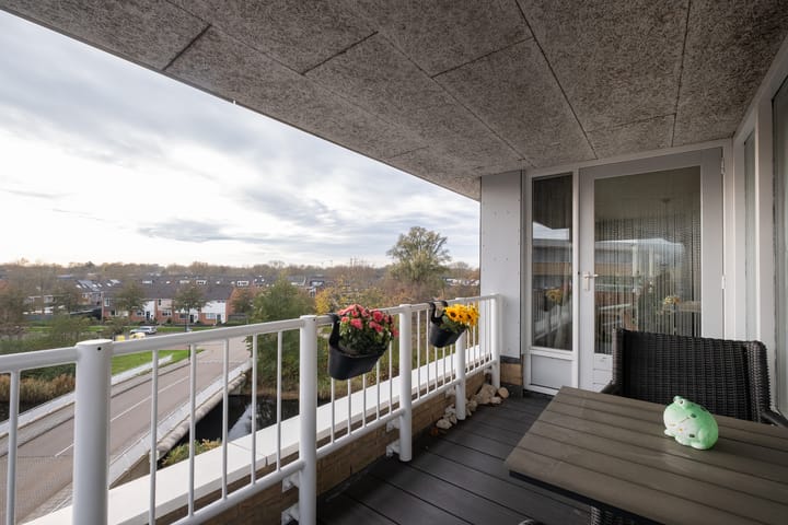 Foto 12 van Koraal 84