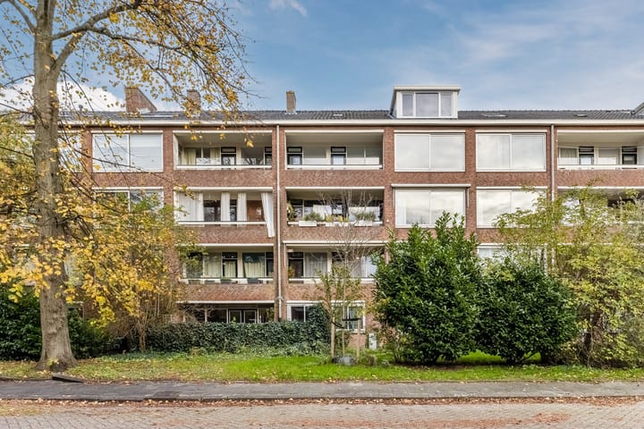 Photo 8 of Rietnesse 12-3