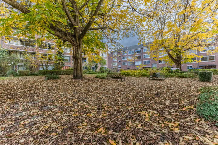 Photo 41 of Rietnesse 12-3