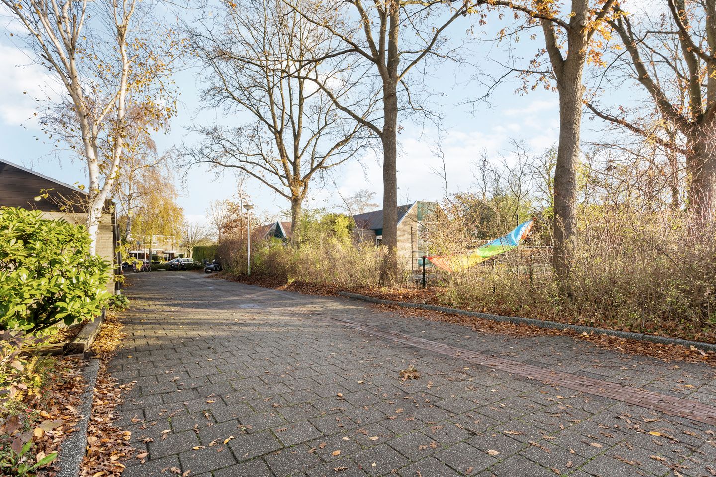 Photo 29 of Burgemeester De Koolplantsoen 15