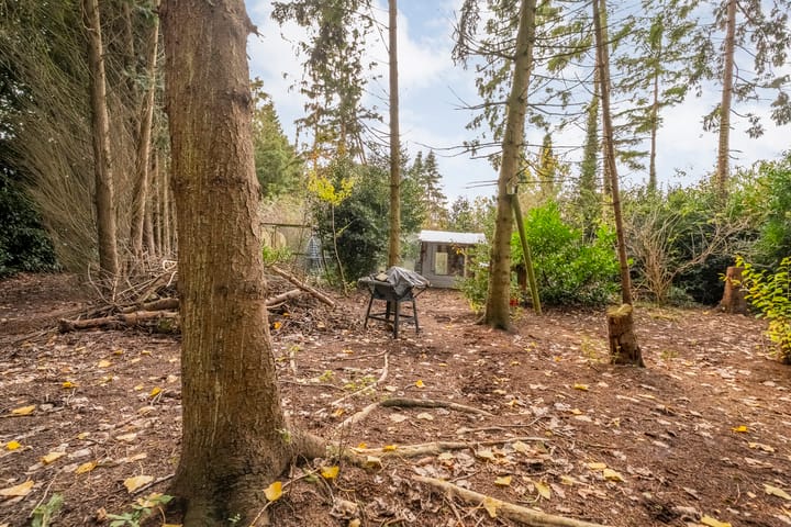 Photo 44 of Rijksweg 38