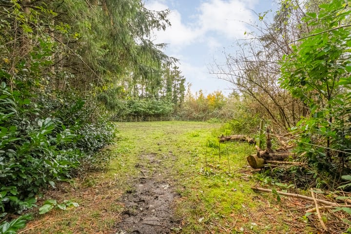 Photo 46 of Rijksweg 38