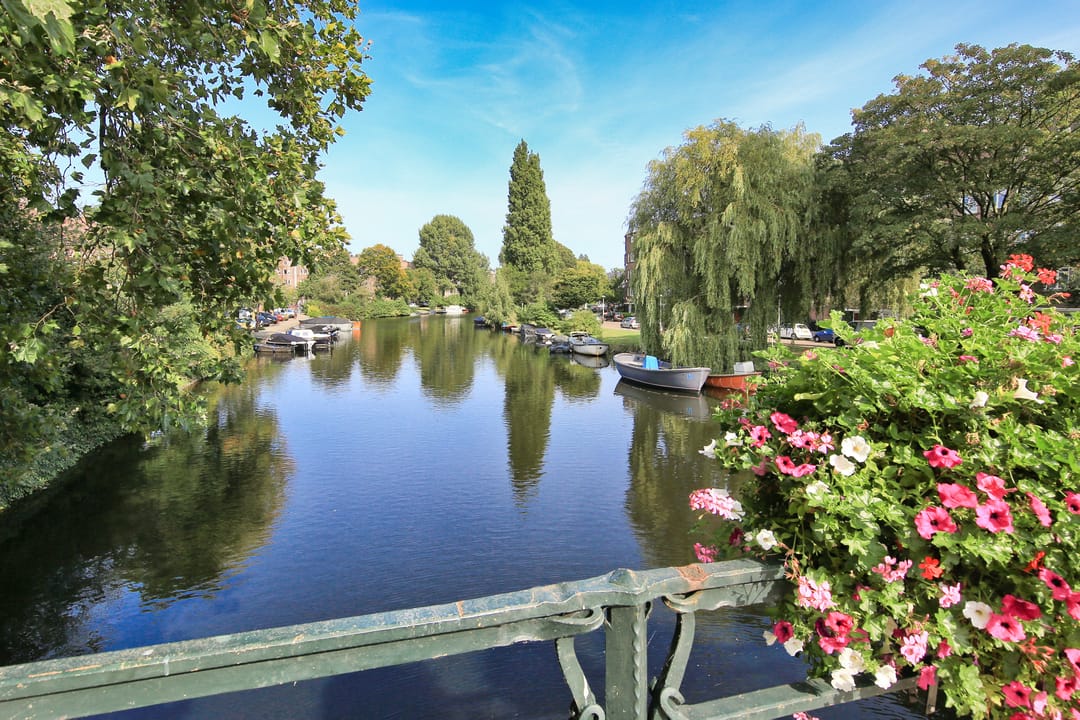 Foto 47 van Olympiaweg 105-H