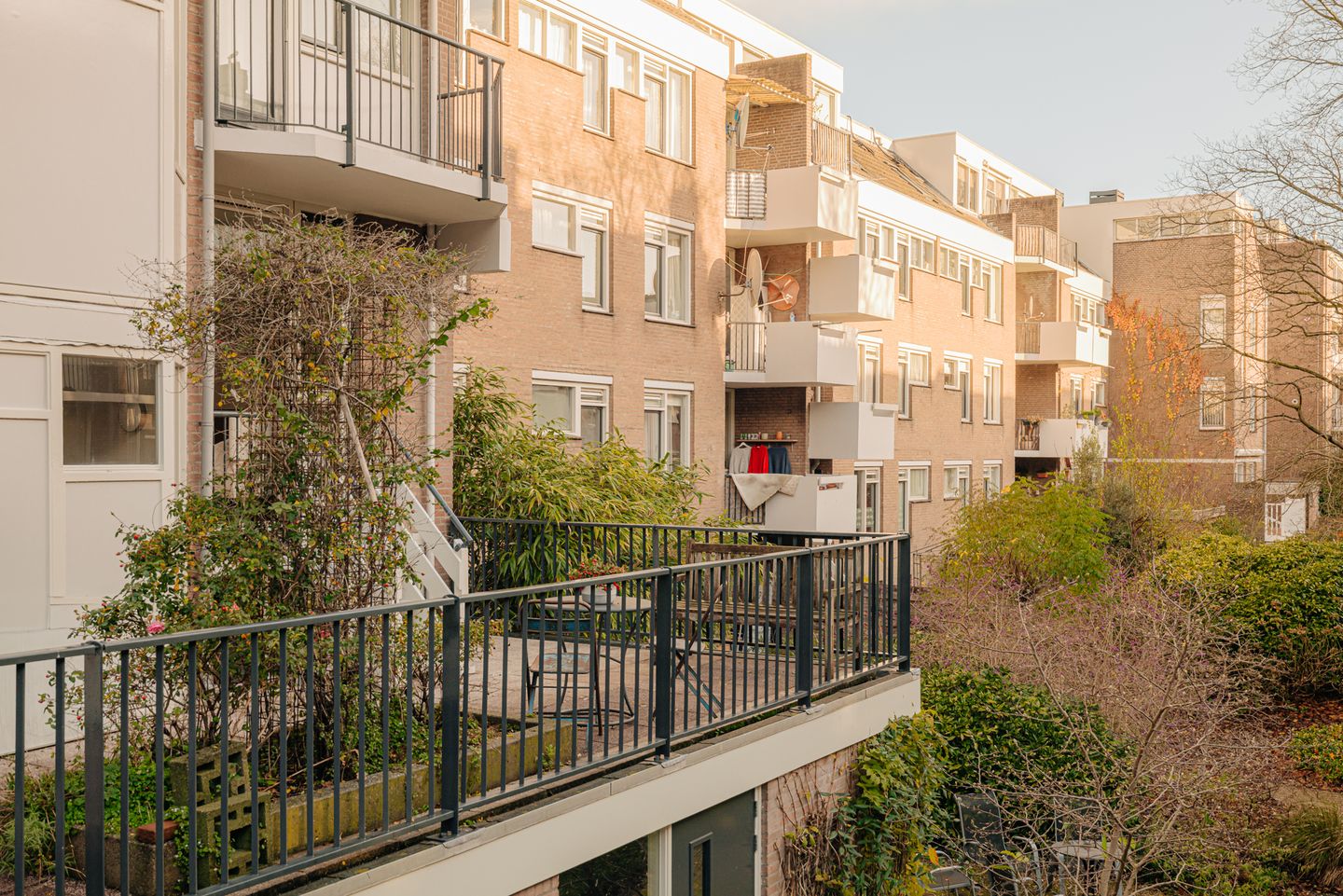 Foto 14 van Commelinstraat 316