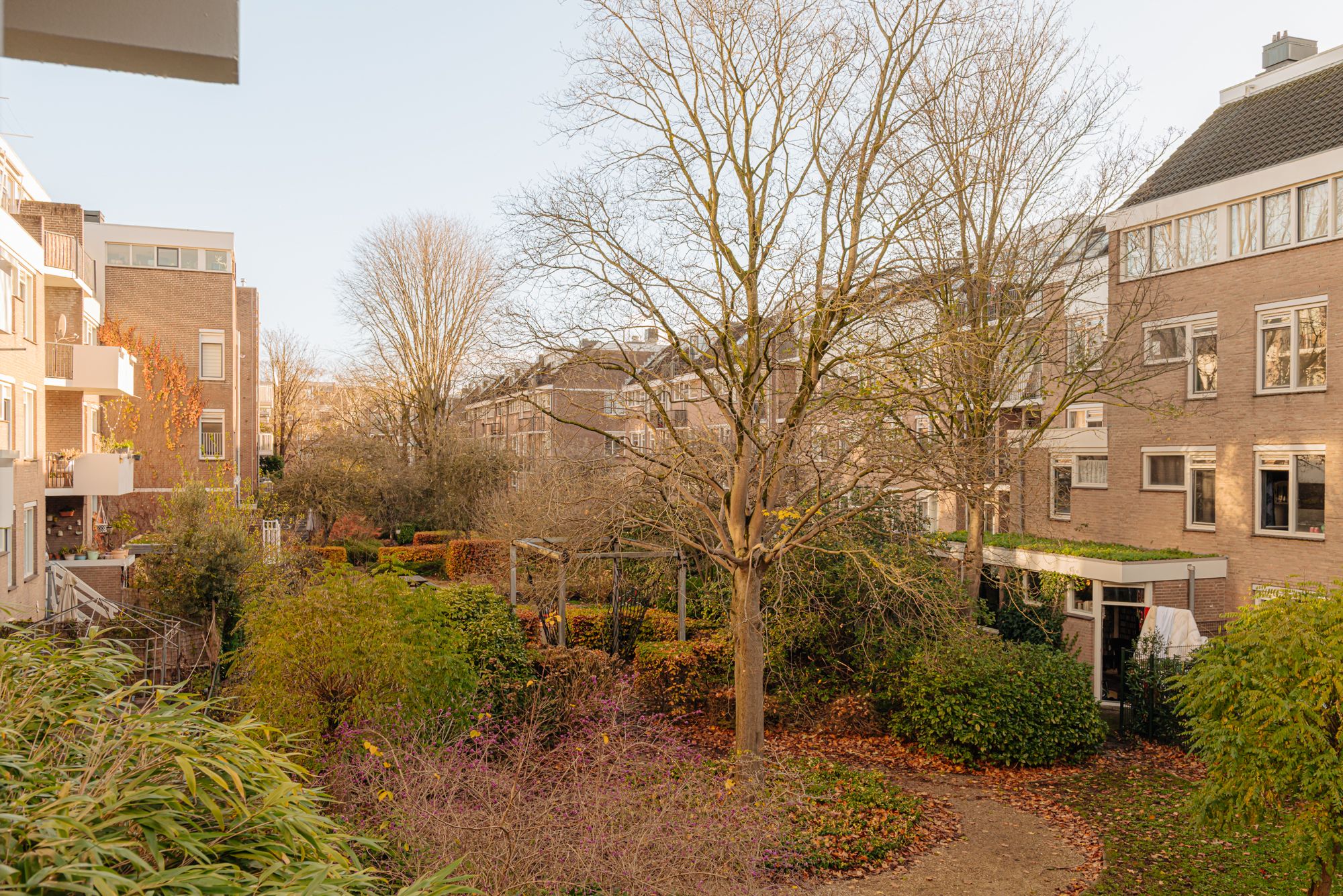 Foto 15 van Commelinstraat 316