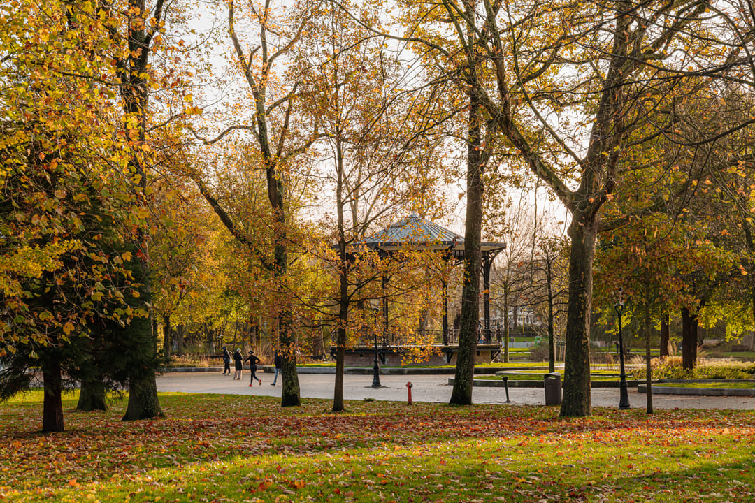 Foto 23 van Commelinstraat 316