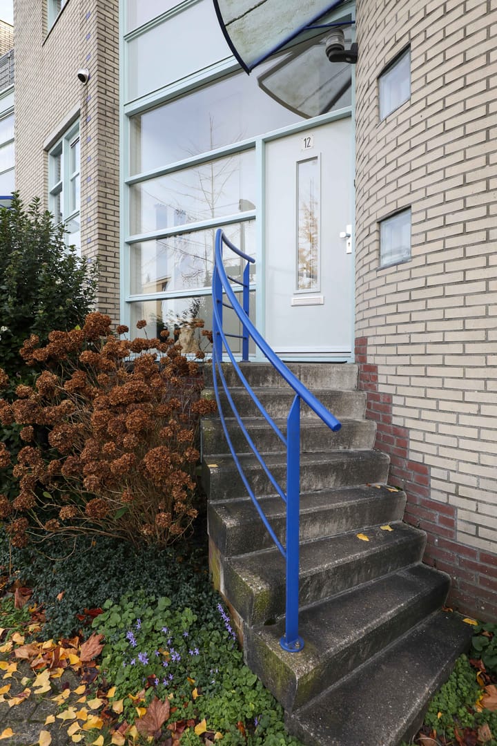 Foto 6 van Rigantstraat 12