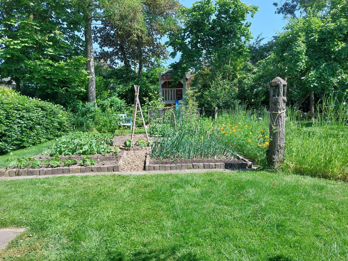 Foto 55 van Julianaweg 13