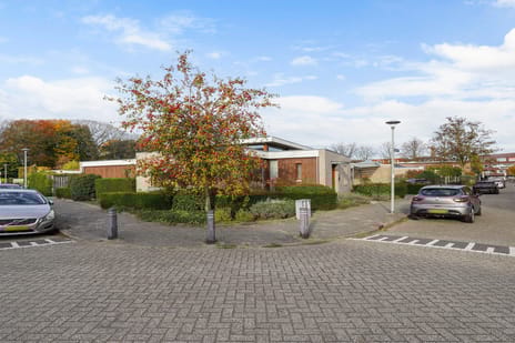 undefined main image