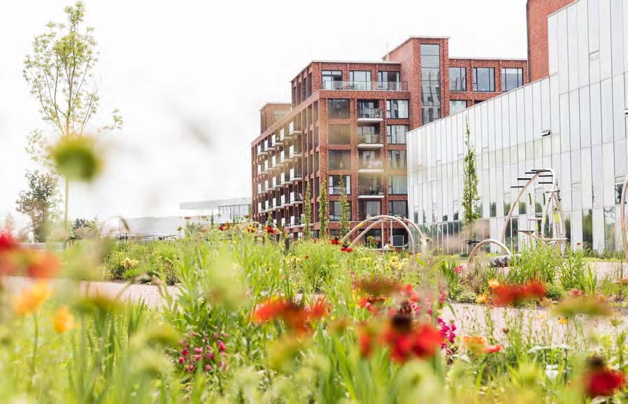 Bekijk foto 4 van Helperpark 298