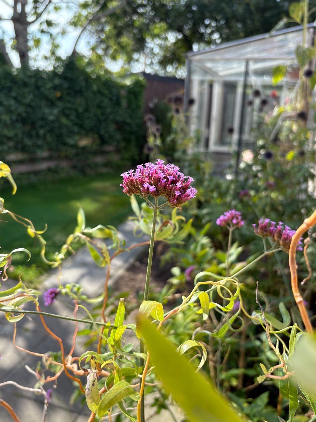 Foto 22 van Humaldastate 12