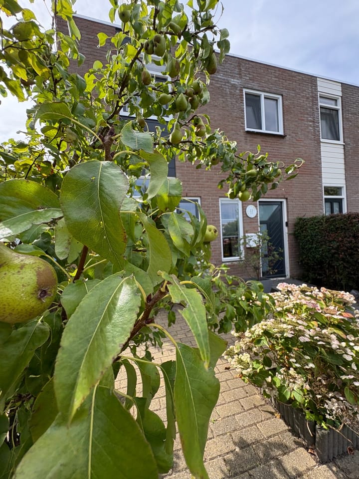 Foto 43 van Humaldastate 12