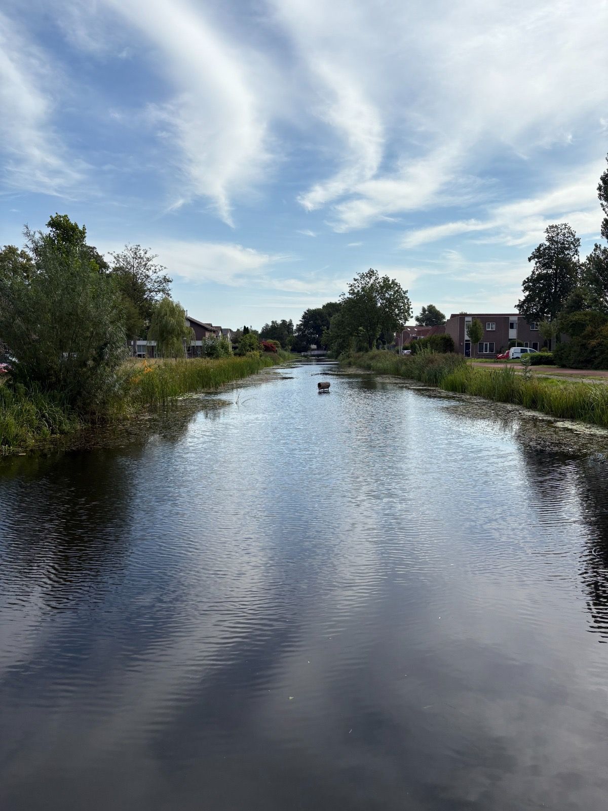 Foto 44 van Humaldastate 12