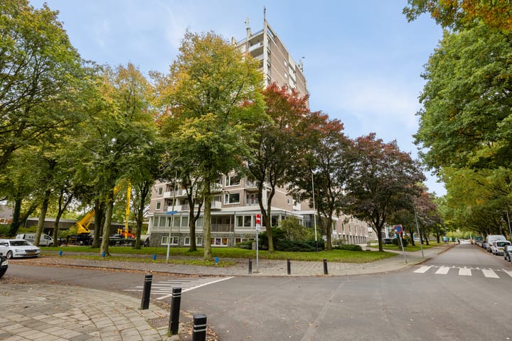 Helper Brink 61-156 main image