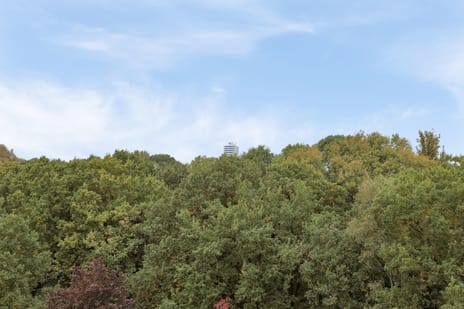 Helper Brink 61-156 tertiary image