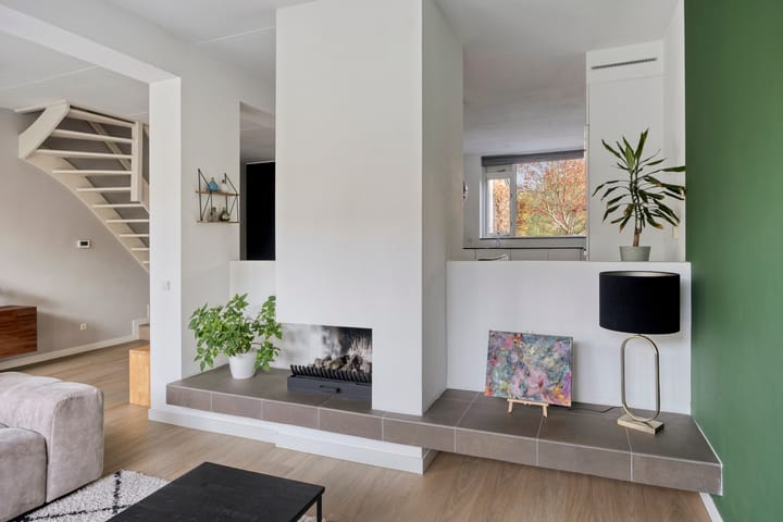 Photo 4 of Iepenhof 37