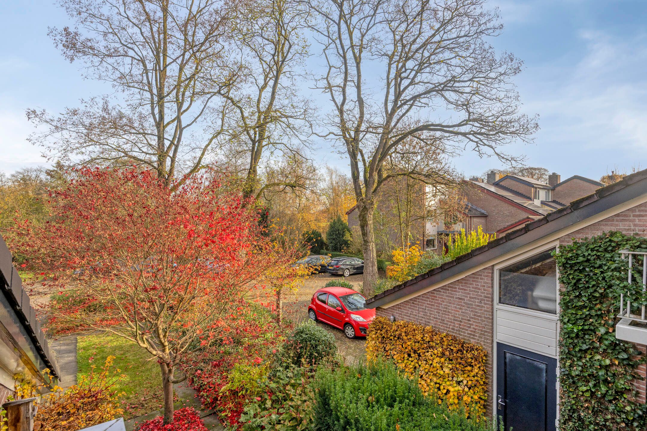 Photo 21 of Iepenhof 37