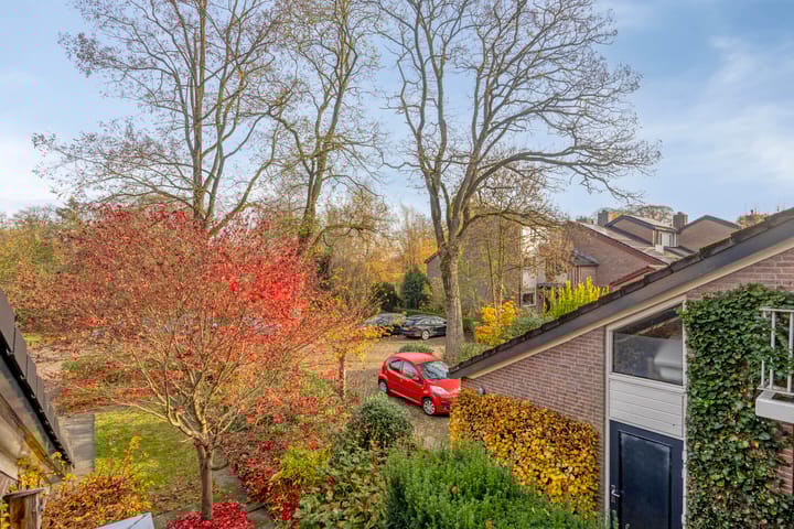 Foto 21 van Iepenhof 37