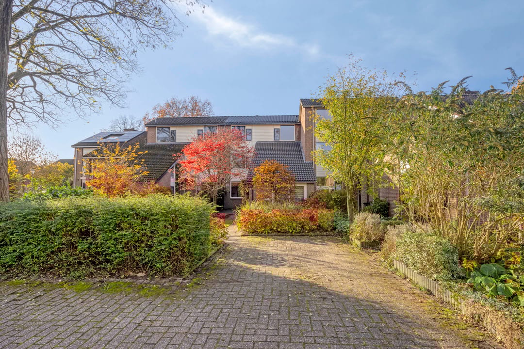 Photo 38 of Iepenhof 37