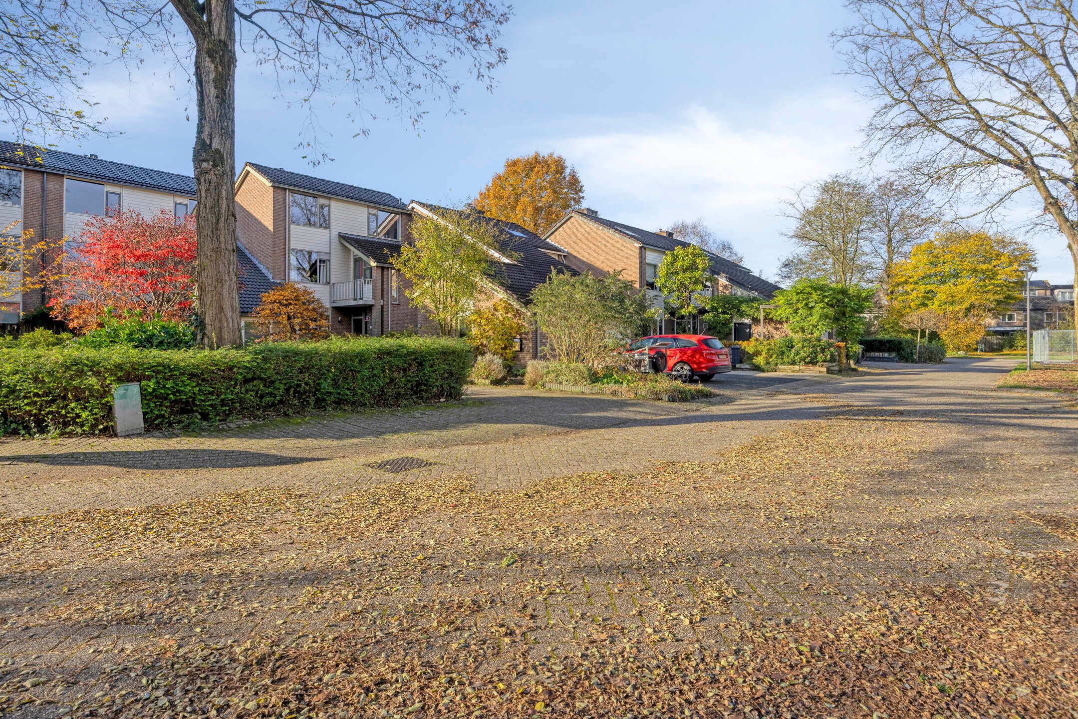 Photo 39 of Iepenhof 37