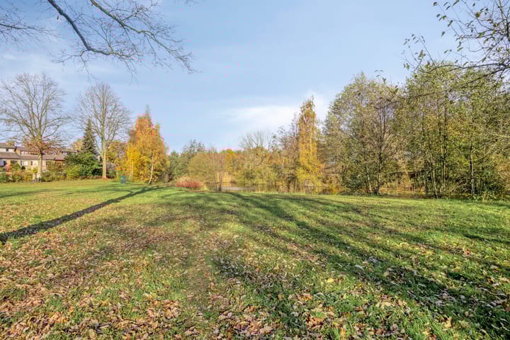 Foto 40 van Iepenhof 37