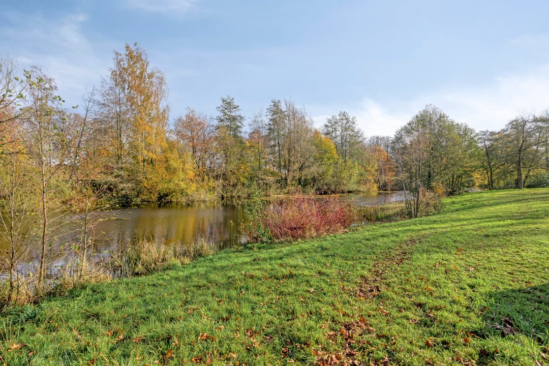 Photo 41 of Iepenhof 37