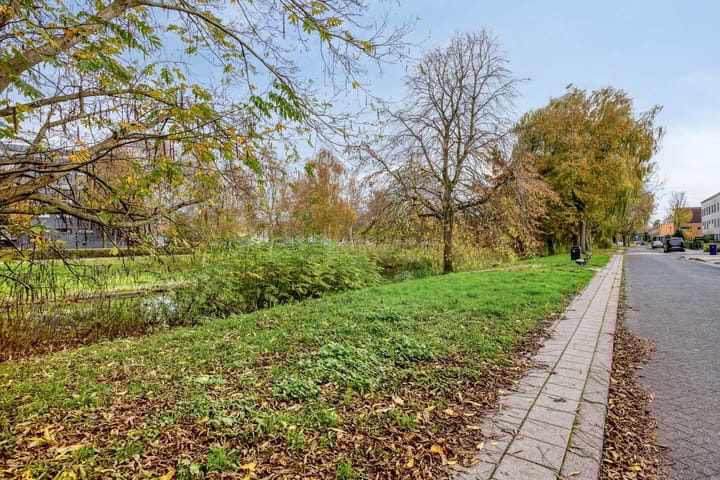 Photo 41 of Tarantellastraat 37