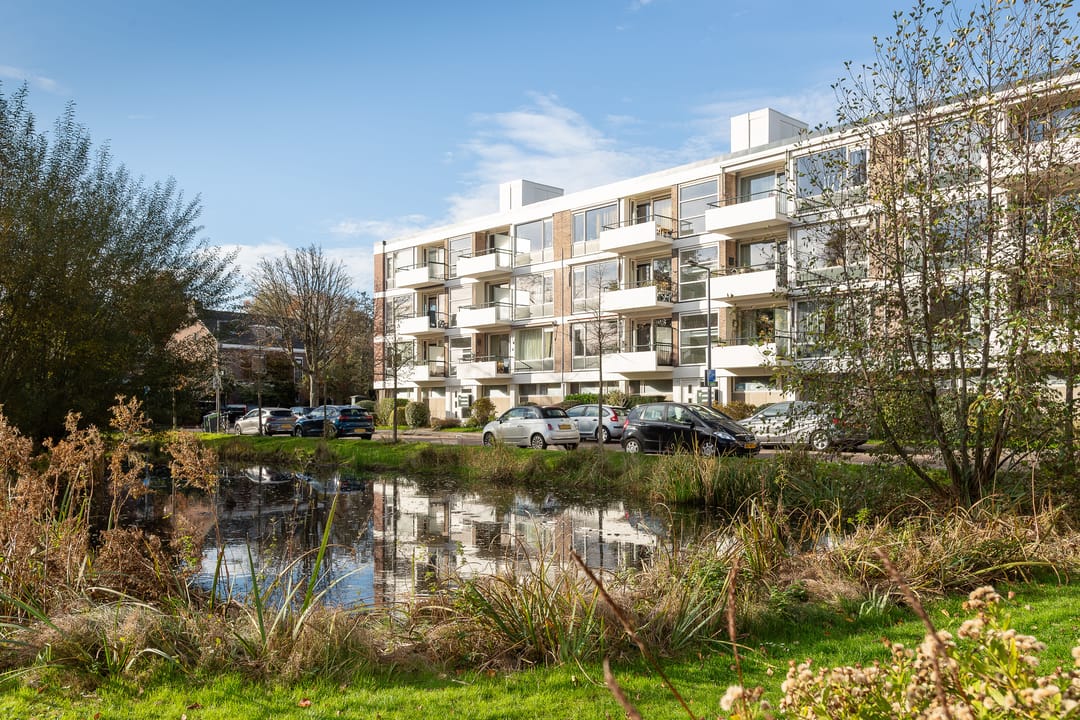 Photo 28 of De Lairesselaan 71