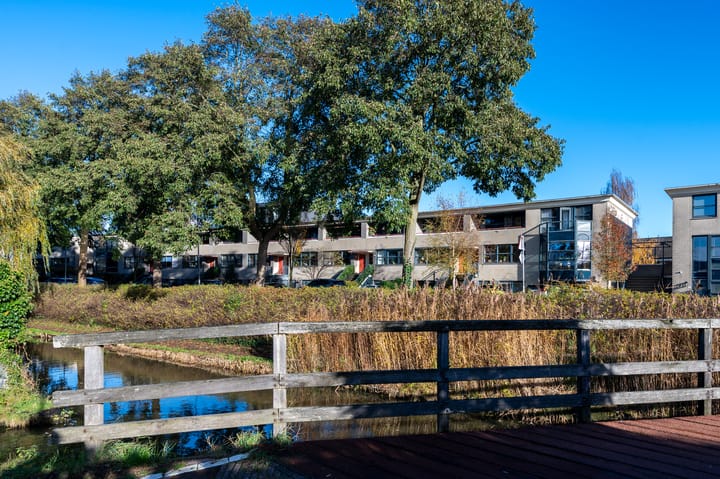 Foto 38 van Aziëring 46