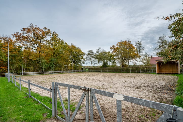 Foto 3 van Dokter Ypeijlaan 12