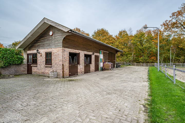 Foto 4 van Dokter Ypeijlaan 12