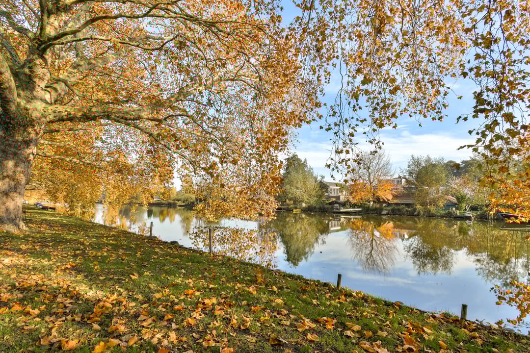 Foto 41 van Sophiastraat 72