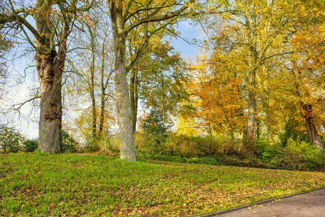 Foto 32 van 2e Ebbingestraat 16