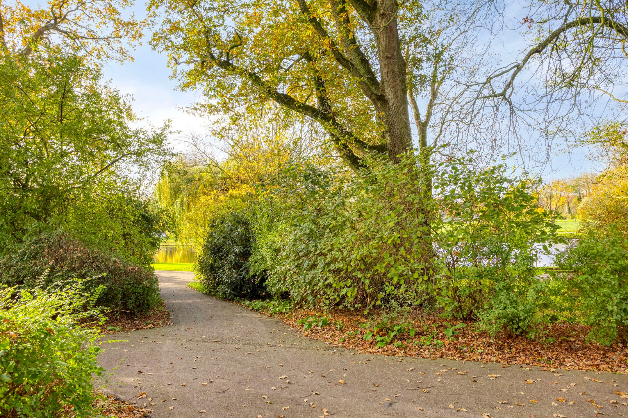 Foto 33 van 2e Ebbingestraat 16