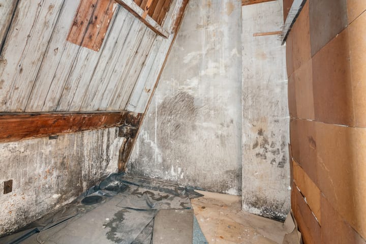 Foto 42 van Vrolikstraat 72-3