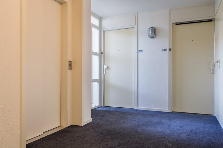 Foto 6 van Florastate 38