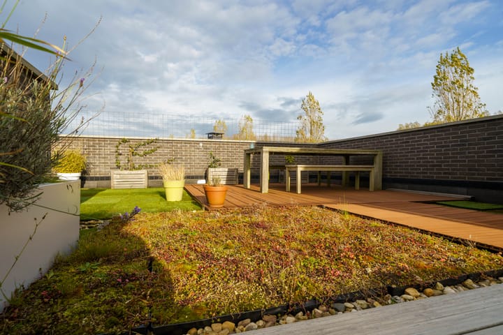 Photo 50 of Toenzalstraat 13